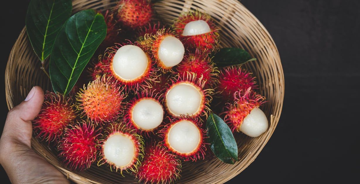 Rambutan_1230x630_Facebook.jpg
