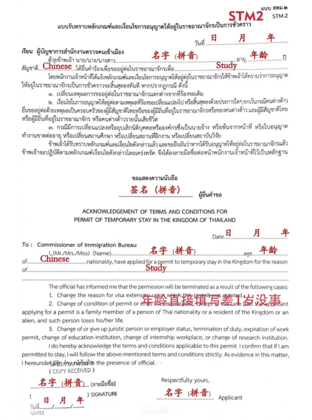 STM2.png